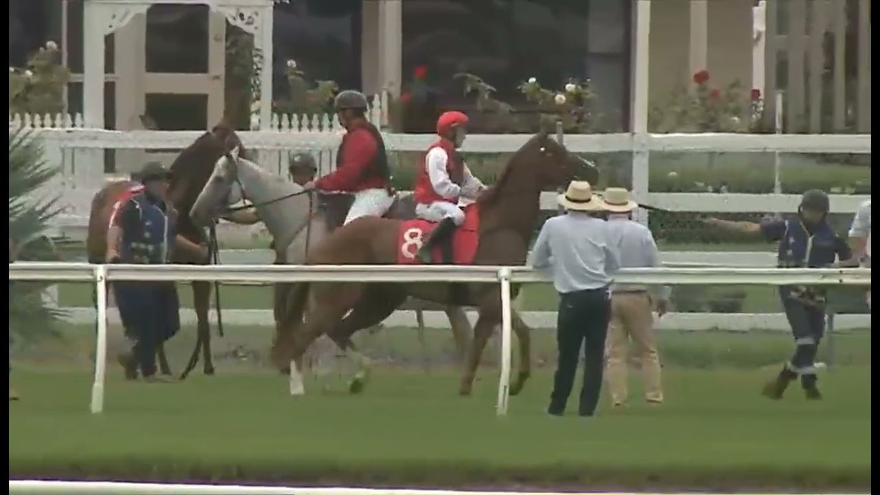 RACE 1 - Kembla Grange - AUSTRALIA -  03 MAR 2026