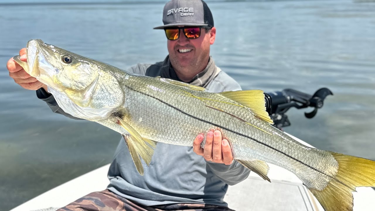 Florida Everglades Sight Fishing!