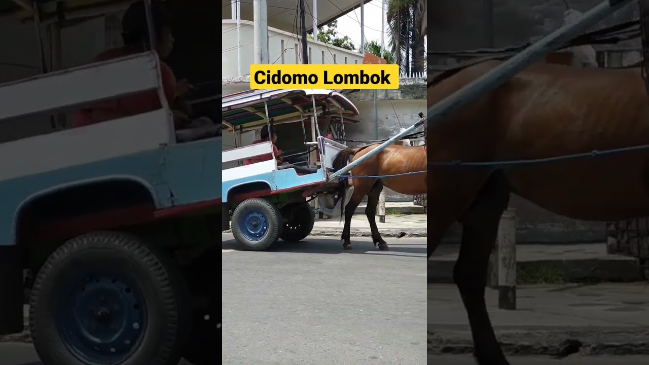 Naik Cidomo Khas Lombok #cidomo #dokar #lombok #gilitrawangan #andong #tradisional