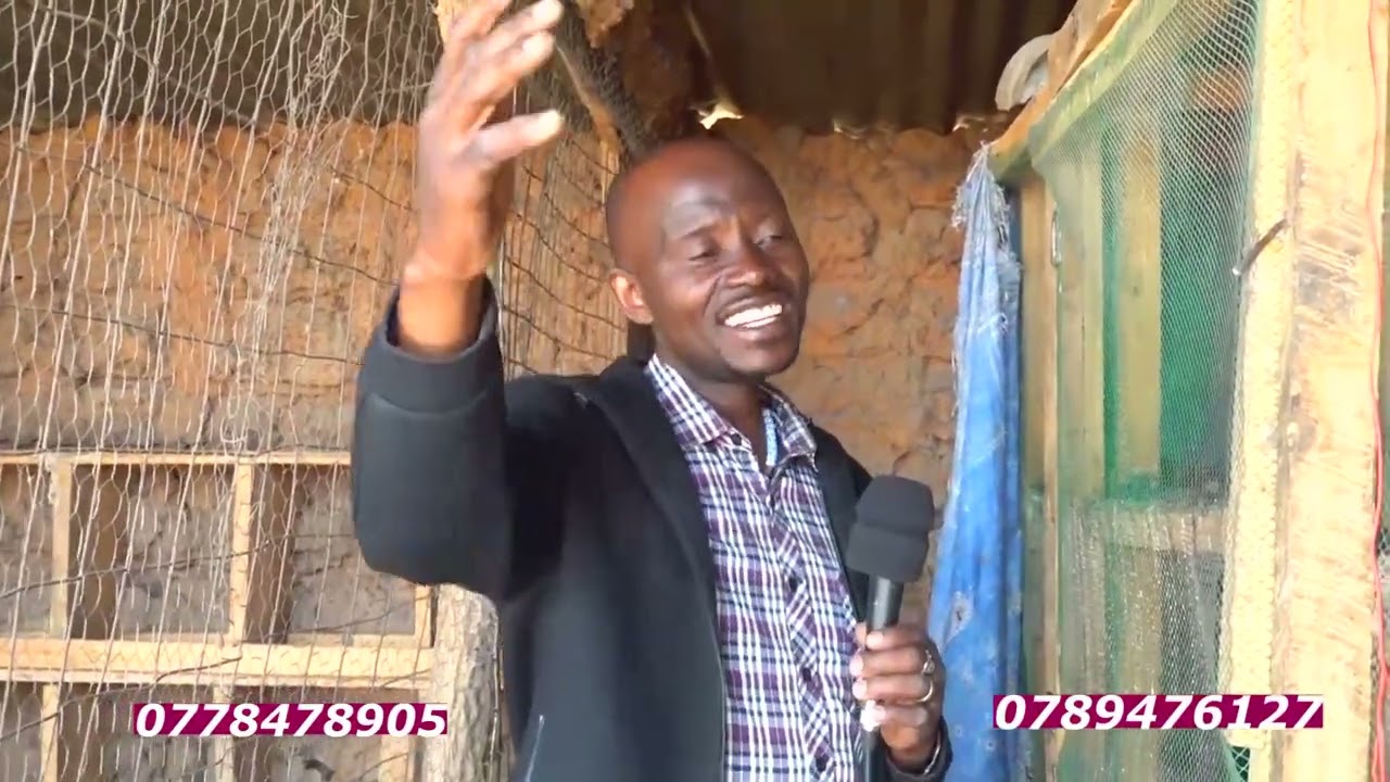 MBINU NNE ZA KUZINGATIA KUKUZA VIFARANGA
