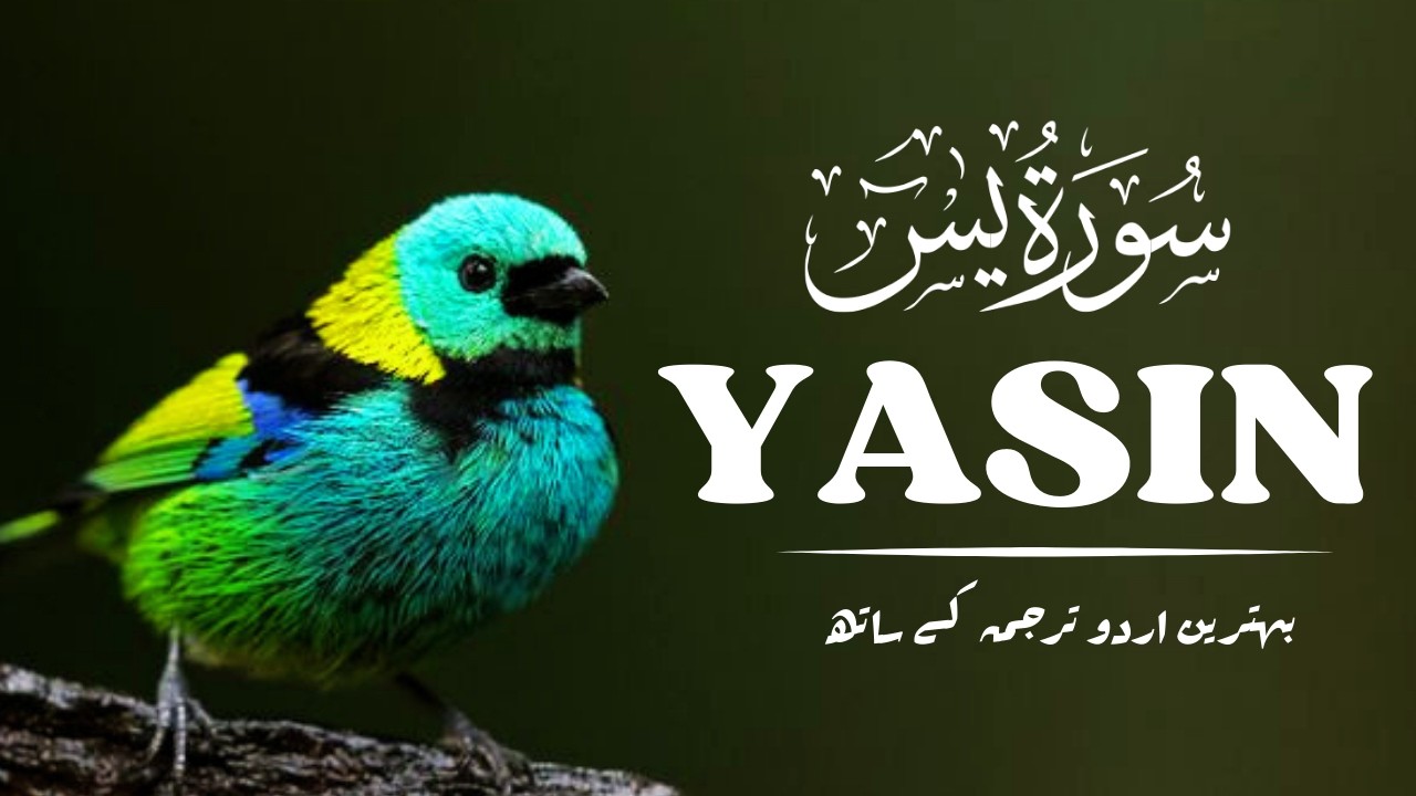 Surah Yaseen Full: The Heart of Quran for Peace, Blessings & Rizq (2026)