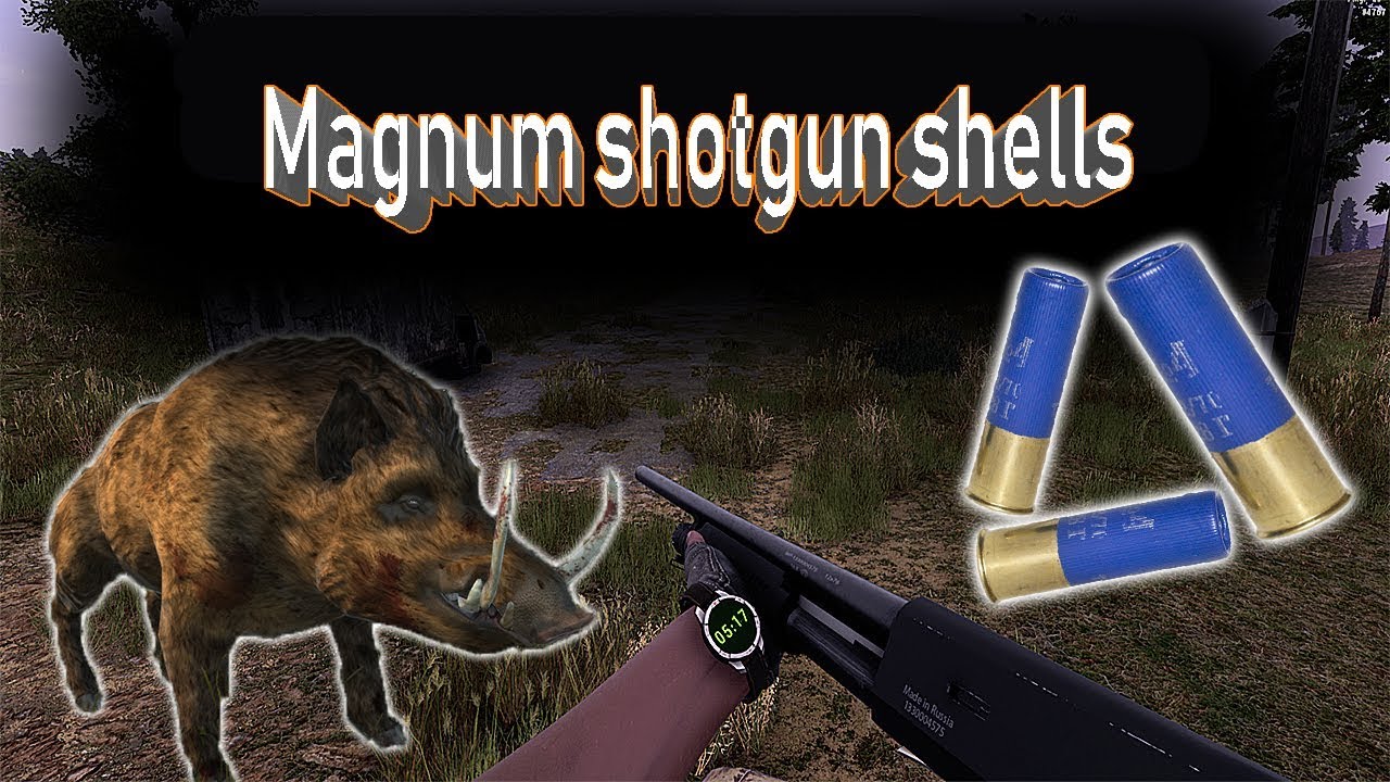 Will to live online Magnum shotgun shells + Fox Rifle