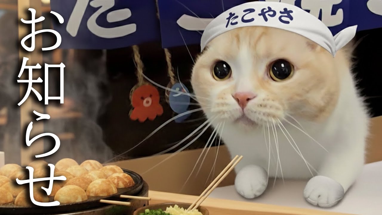 訳あってたこ焼き屋をオープンすることになりました...