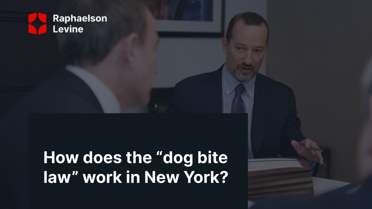 How does the &ldquo;dog bite law&rdquo; work in New York? | Raphaelson & Levine Law Firm P.C.