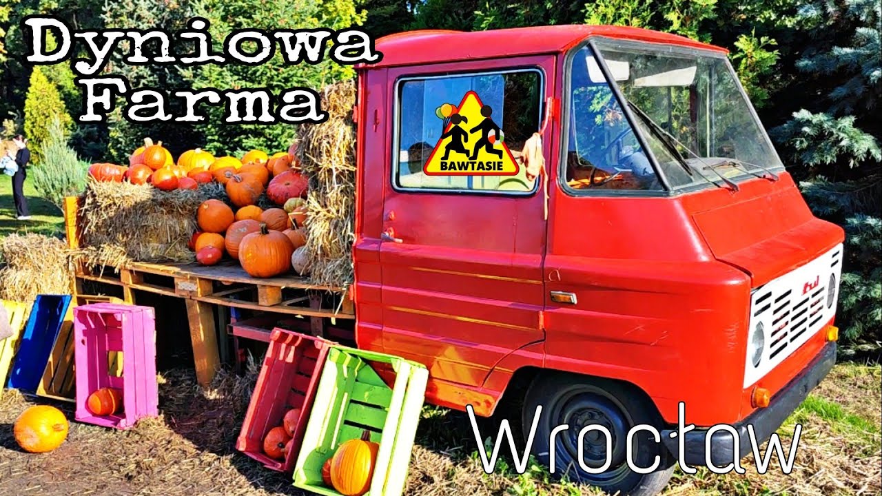 🎃 DYNIOWA FARMA Wrocław 😀