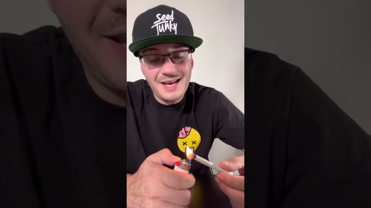 Raw Garden Pre-Rolled Joint Pack Review Featuring The Gelato Strain