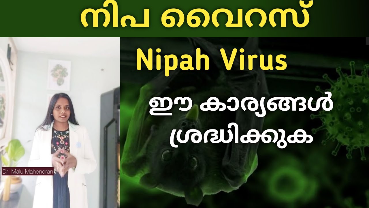 നിപ വൈറസ്  ശ്രദ്ധിക്കേണ്ട ചില കാര്യങ്ങൾ