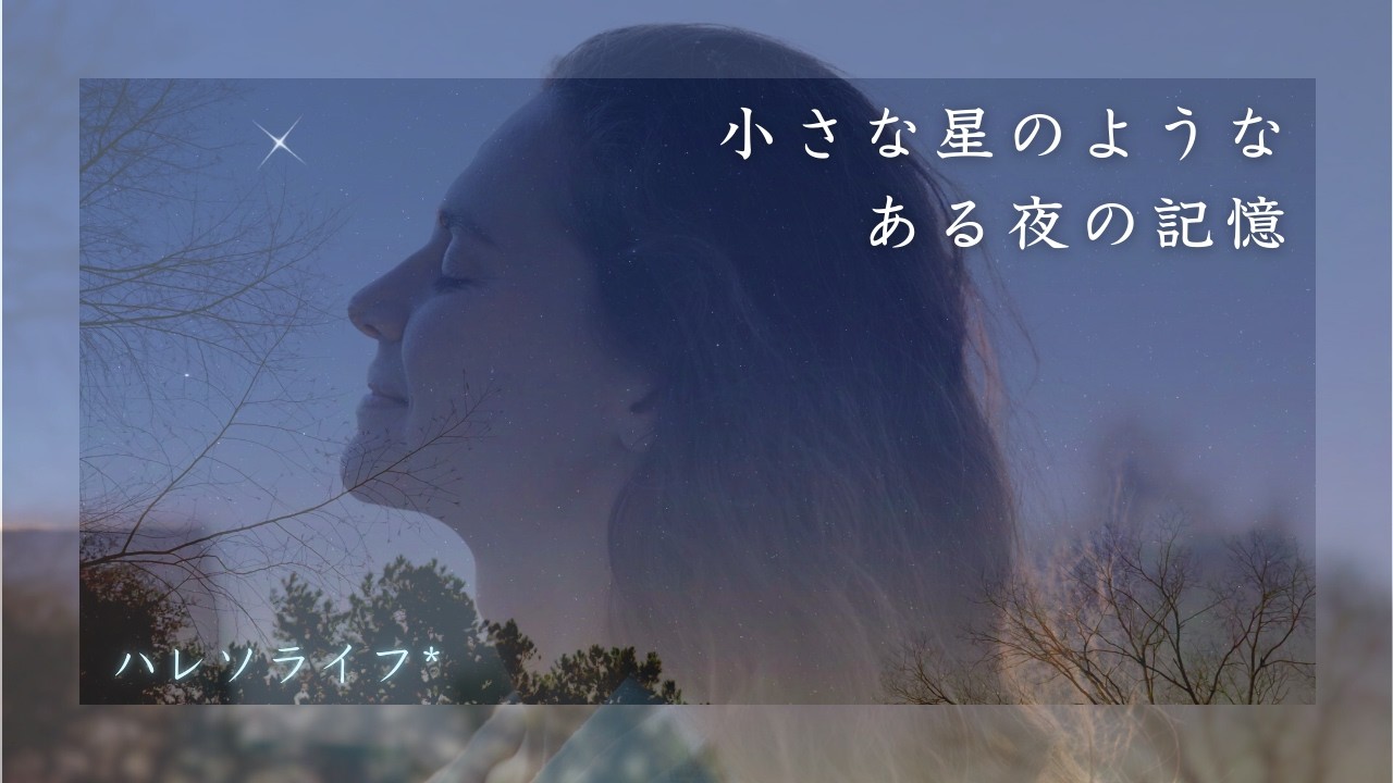 小さな星のような、ある夜の記憶🌟