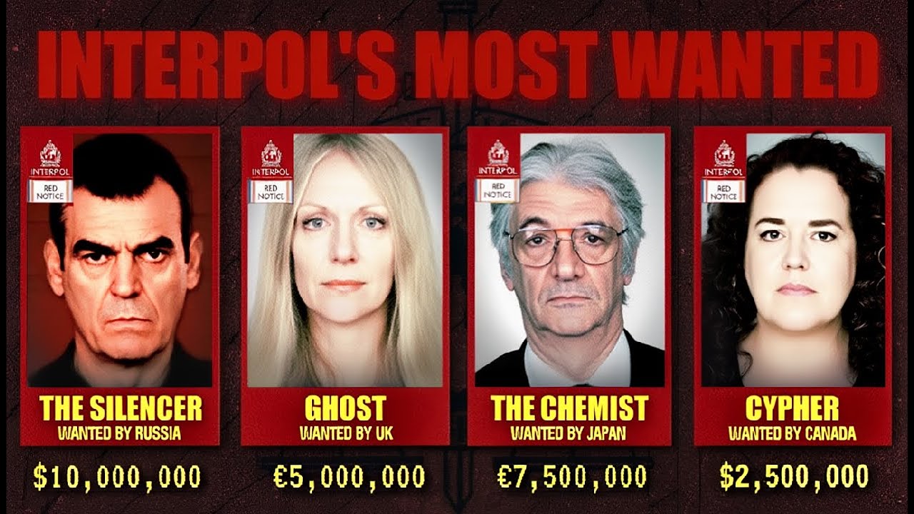 Red Notice: Interpol's Most Wanted, Explained #MostWanted #CrimeStory #TrueCrimeExplained