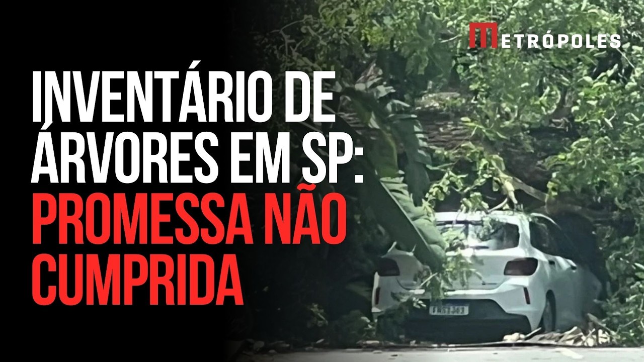 Inventário de árvores da Prefeitura de São Paulo não cumpre promessa