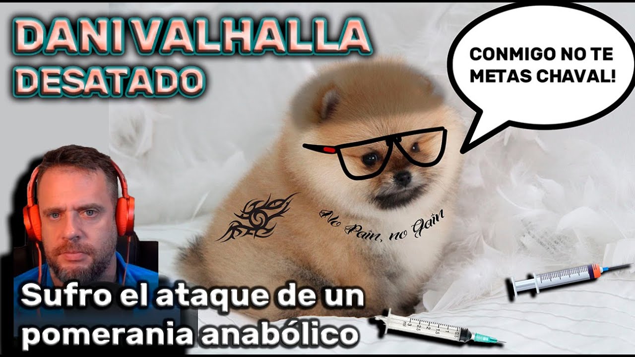 DANI EL POMERANIA CHUZADO ME CONTESTA