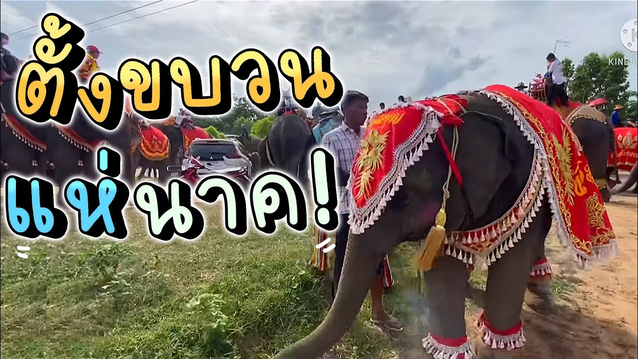 ตั้งขบวนแห่นาค! บ้านท่าลาด❗️ ยิ่งใหญ่อลังการ |อุ้มบุญ แฟมิลี่