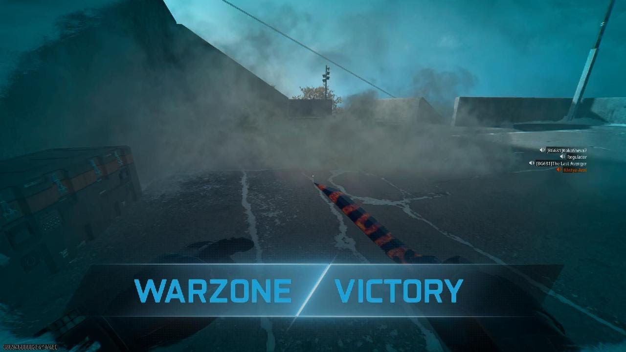 Call of Duty WZ: Rebirth Island  Winter - Quads