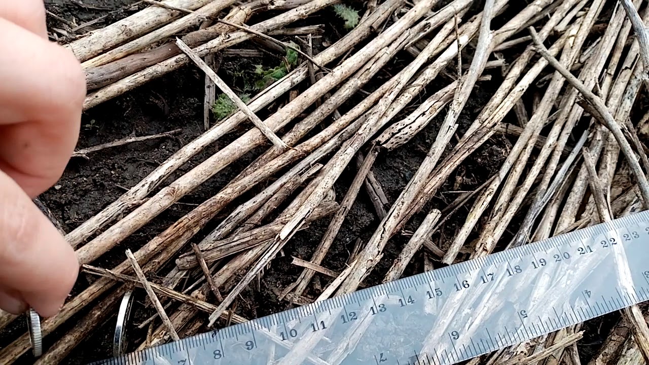 Srovn&aacute;n&iacute; dohled&aacute;vaček Minelab Pro Fund 15 a GP-Pointer