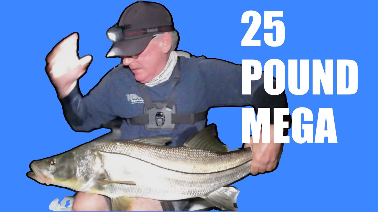 HOW I CAUGHT THIS 25 POUND SNOOK!