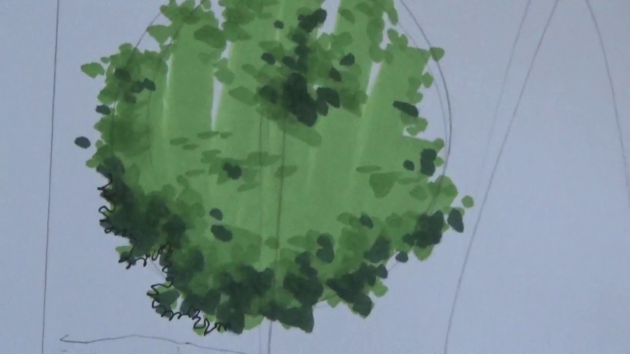 Arboles en elevación para representación arquitectónica. Parte 1