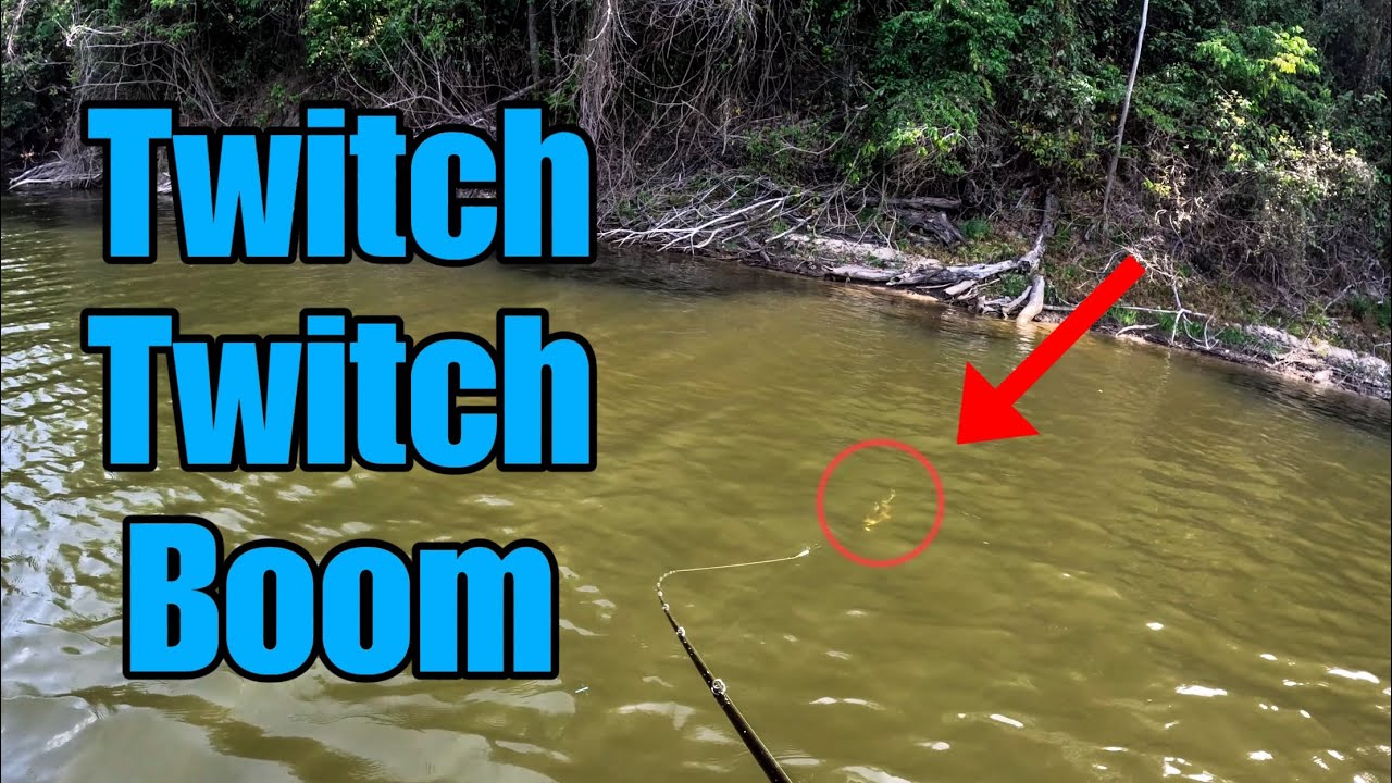 Essequibo River fishing adventure in Guyana