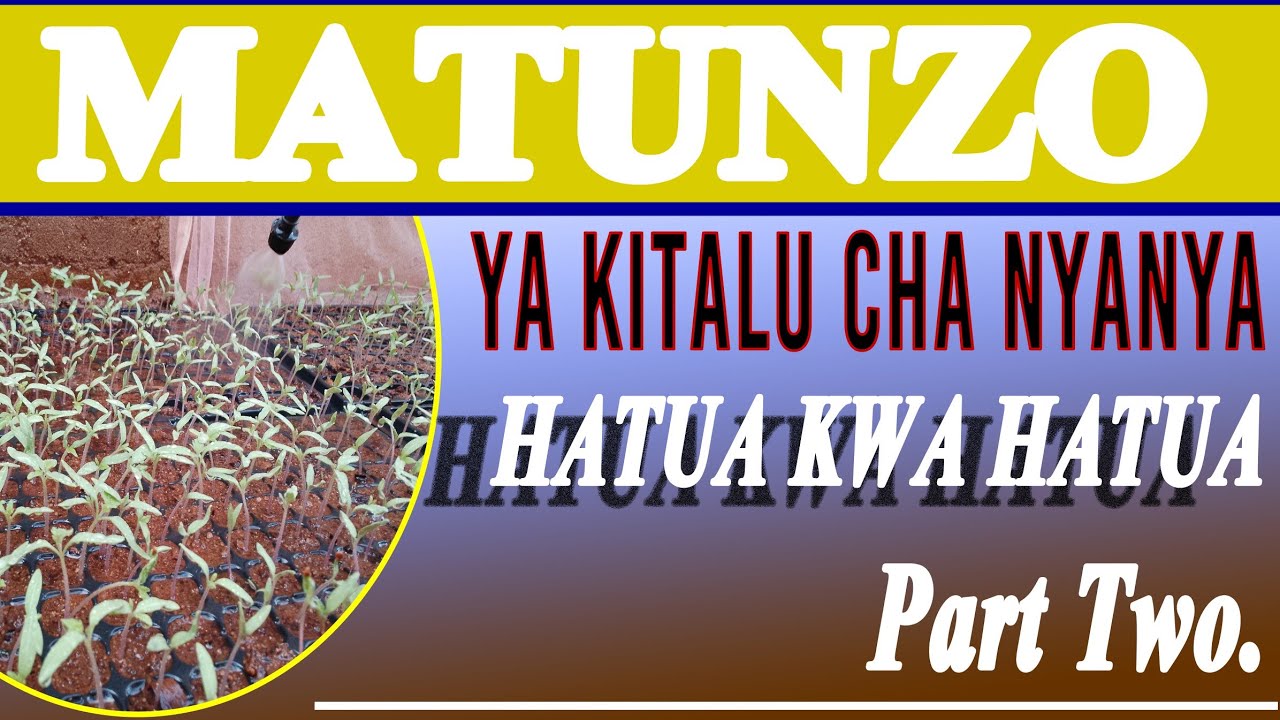 PART TWO. MATUNZO YA KITALU CHA NYANYA MWANZO MWISHO