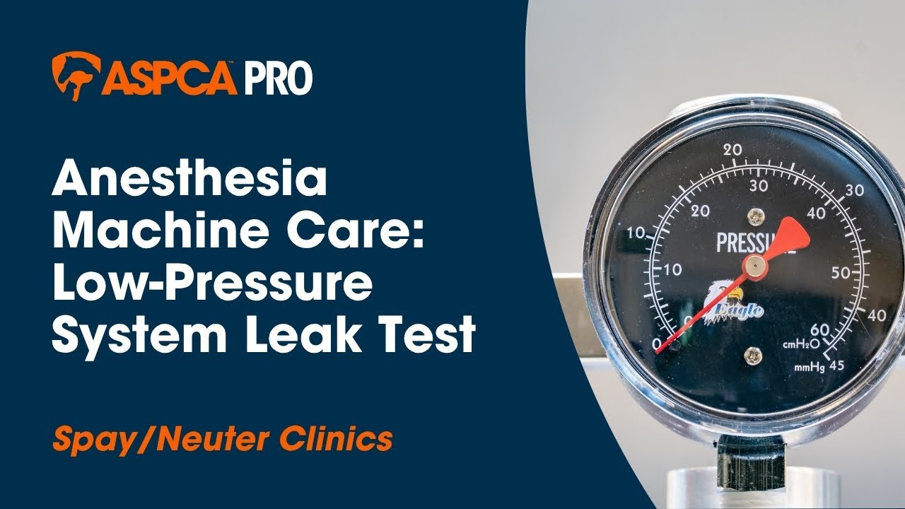Spay/Neuter Anesthesia: Anesthesia Machine Low-Pressure System Leak Test