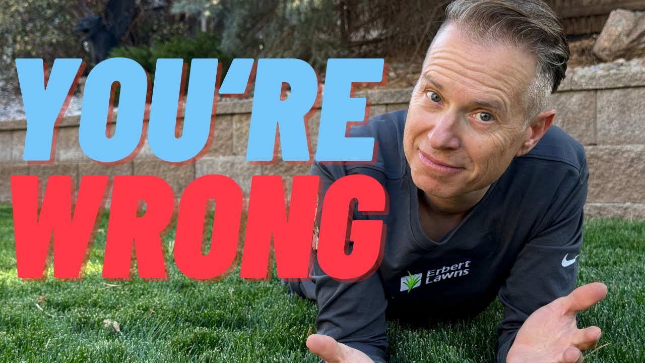 You're Watering Your Lawn Wrong! Here's How to Fix It