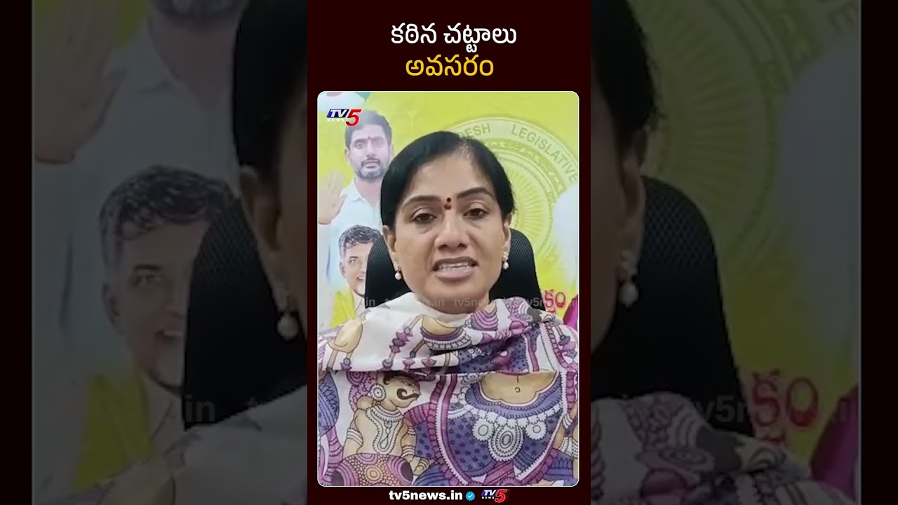 TDP MLA Gouthu Sireesha Comments | Gudivada Amarnath | Anitha Vangalapudi | TV5 News