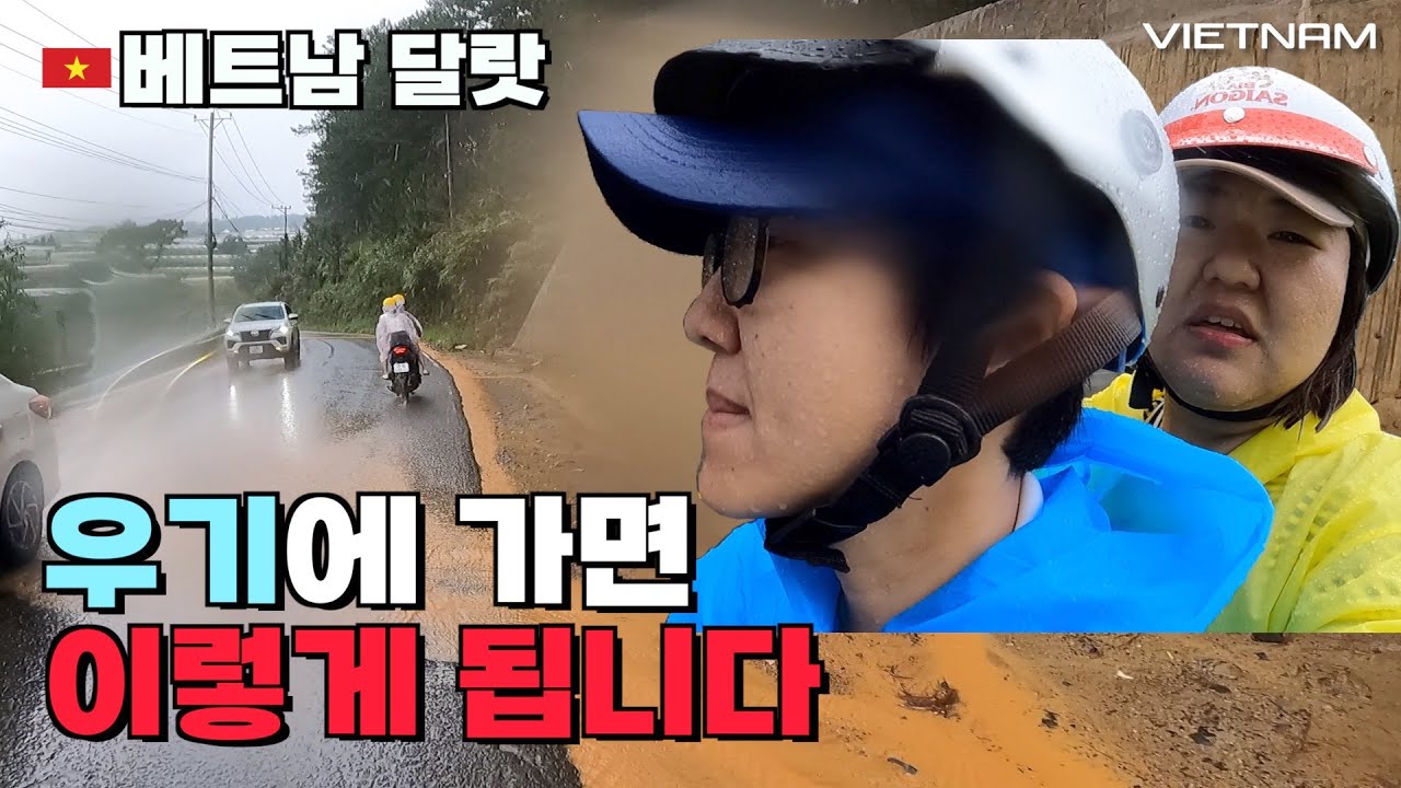 [달랏] 베트남 우기에 여행하면 이렇게 됩니다 (*스쿠터 타기 24시)