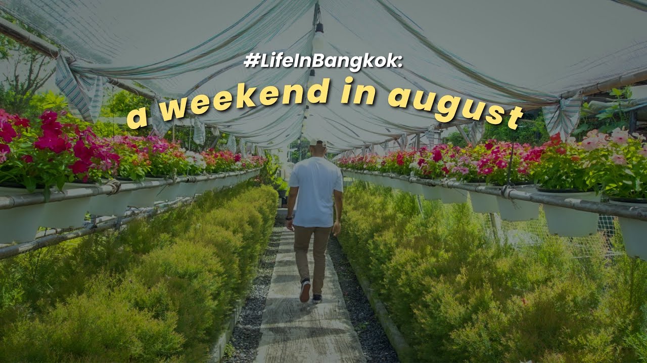 Weekend Vlog | Meetup with friends