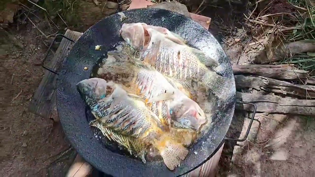 Pescaria de tilapia  