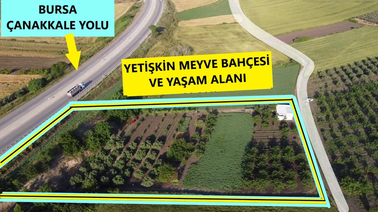 ÇANAKKALE - BURSA YOLUNDA-YETİŞKİN MEYVE BAHÇESİ - SUYU ELEKTİRİGİ VAR YAŞAM ALANI MEVCUT.MUTEŞEM