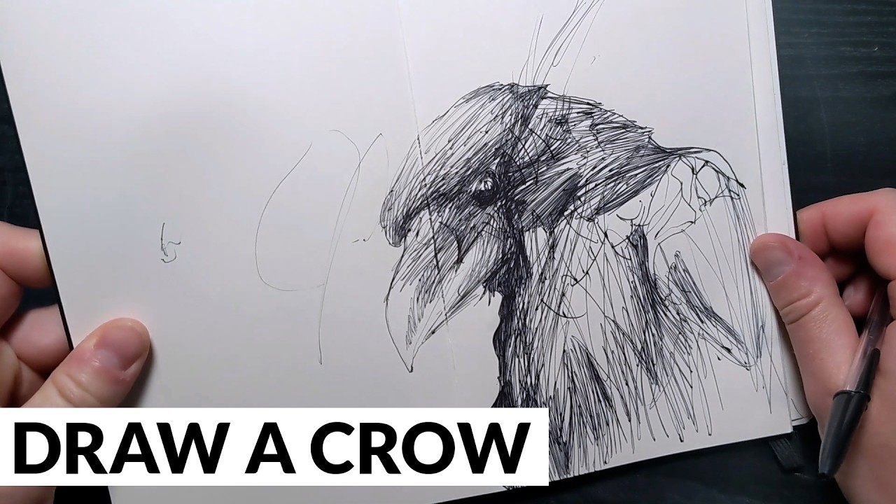 Sketching a Crow with Just a Ballpoint Pen (Step-by-Step)