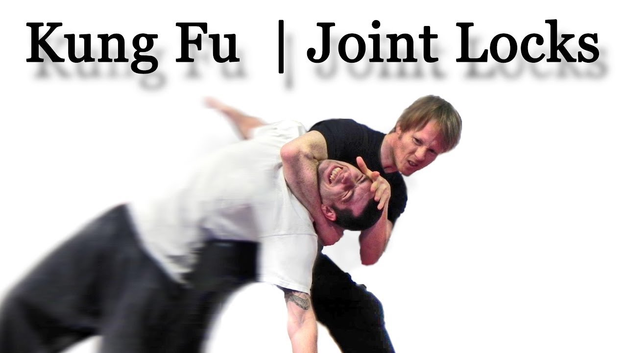 Learn Choy Li Fut Kung Fu | Joint locks