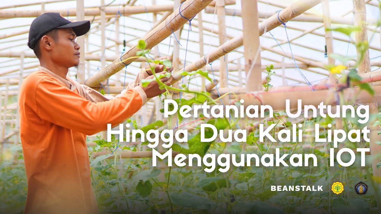 Hasil Pertanian Untung Hingga 2 Kali Lipat Setelah Menggunakan IOT