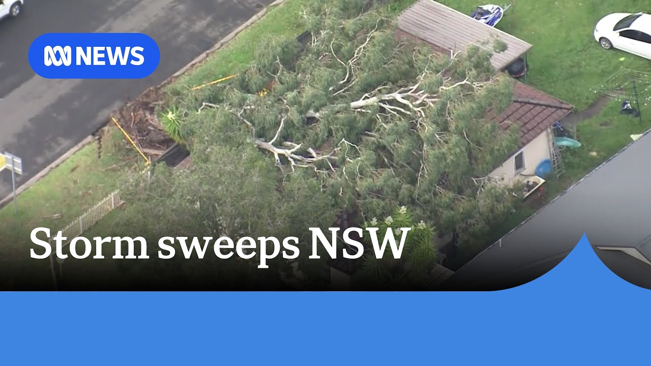 More than 40,000 homes lose power as wild storm sweeps much of NSW