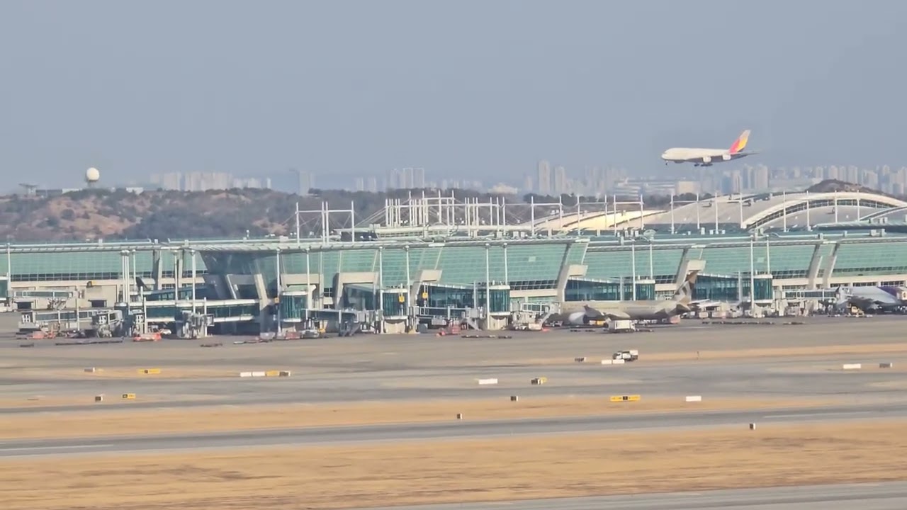 아시아나 a380-800 착륙