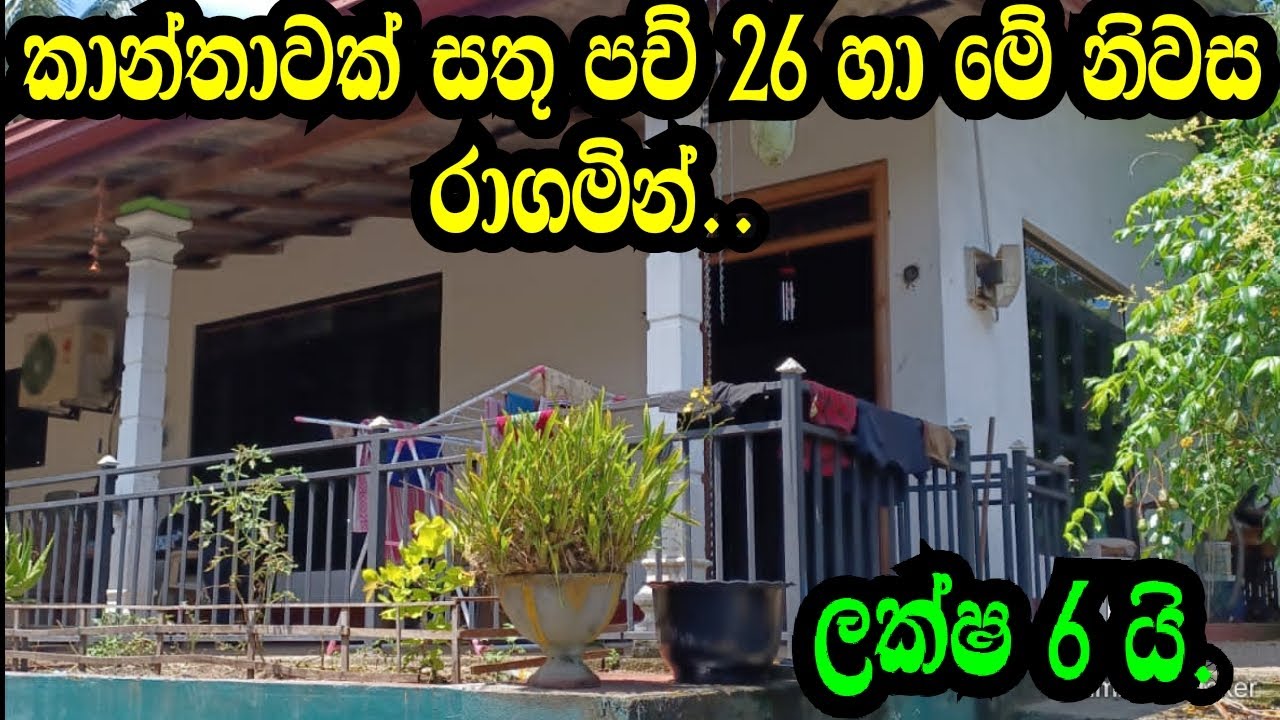 ලක්ෂ 6 යි .රාගමින් කාන්තාවක් සතු අංග සම්පුර් න  නිවාස හා පච් 26 ක් .Ragama land/Gampaha land/podima