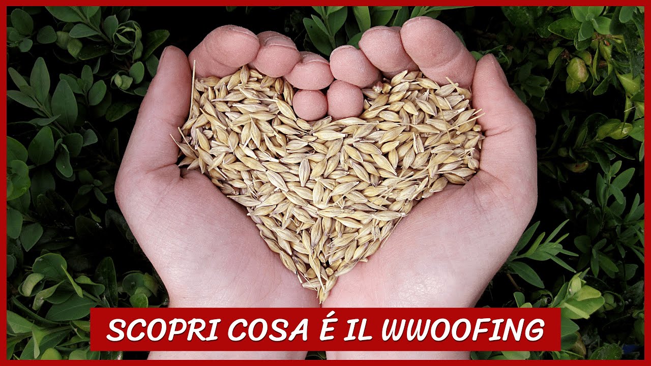 WWOOFING: Cosa é? Come funziona? Come diventare wwoofer?