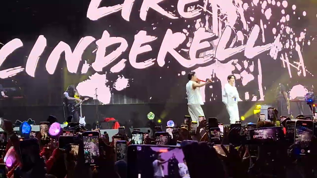 TXT - Cat and dog - AXE CEREMONIA 2025