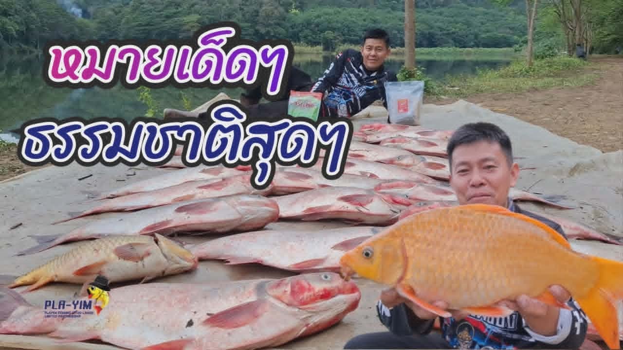 หมายเด็ดๆธรรมชาติสุดๆ ตกปลาอ่างแม่อาง อ.วังชิ้น จ.แพร่ (คลิปที่  462)