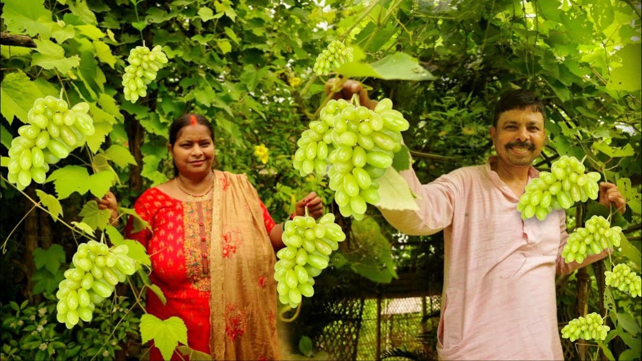 अंगूर लेने जाए तो एक बार ये रेसिपी जरूर बनाकर खाएं बार बार यहीं बनाएंगे अंगूर लौंजी Angoori Chatni