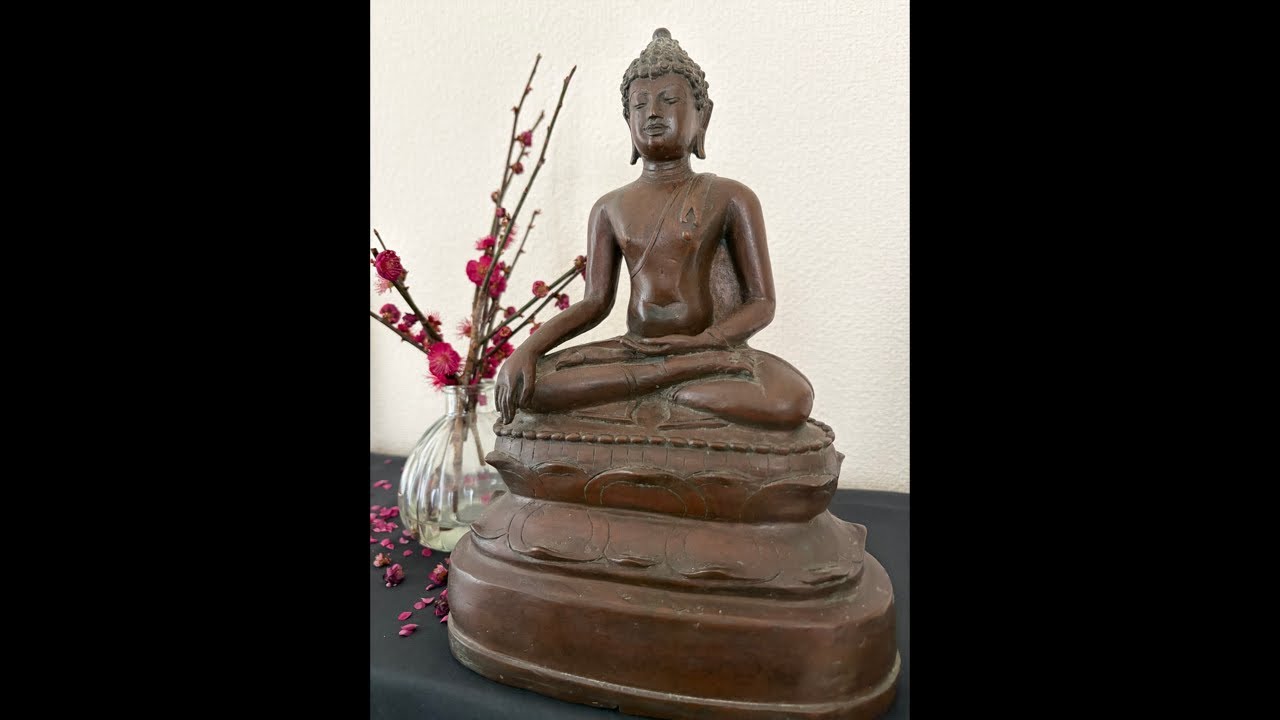 2026.02.20 Friday Meditation | One-pointedness