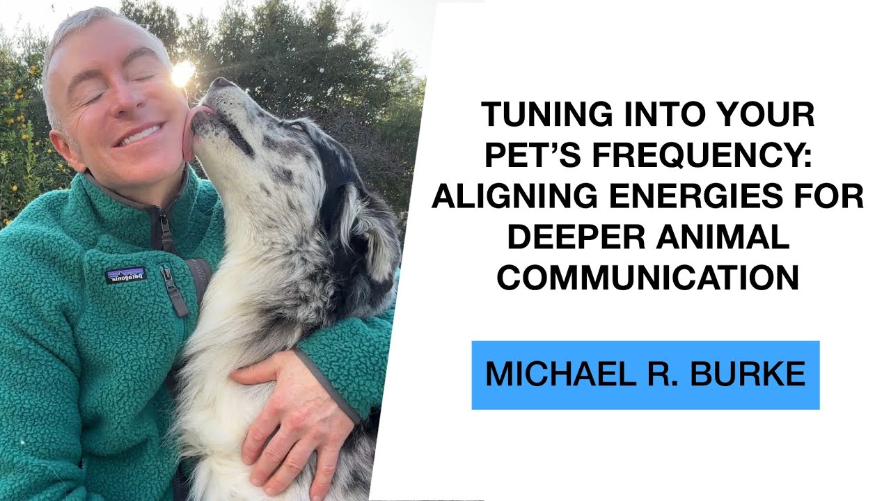 Tuning into Your Pet’s Frequency: Aligning Energies for Deeper Animal Communication