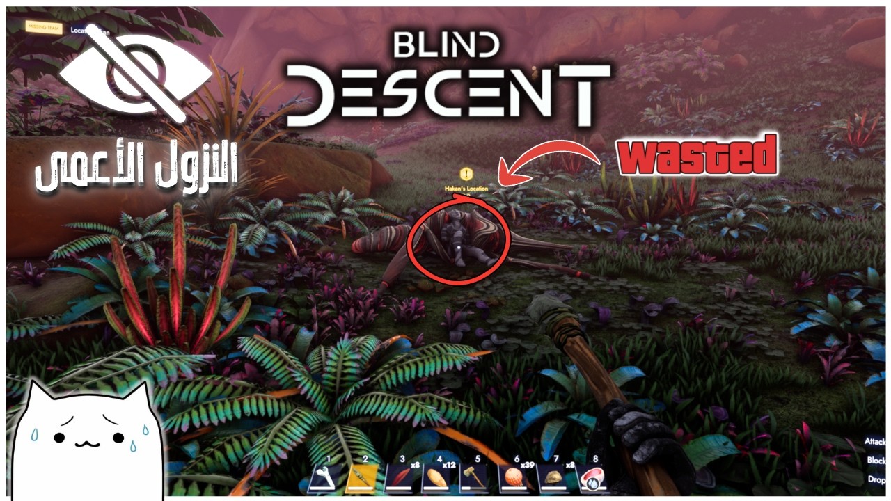 النزول الأعمى! | Blind Descent