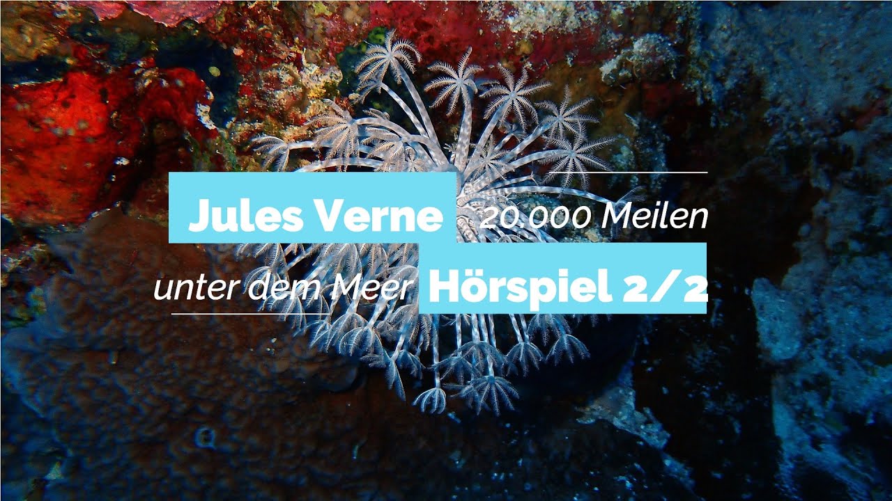 Jules Verne - 20.000 Meilen unter dem Meer 2/2 | Blackscreen, Einschlafen