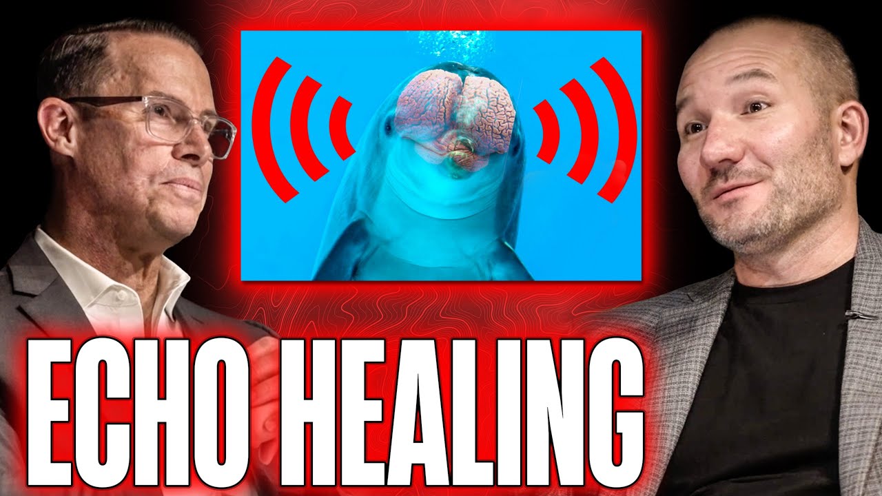 How Can Dolphins Better Your Mood, Anxiety, and Depression?