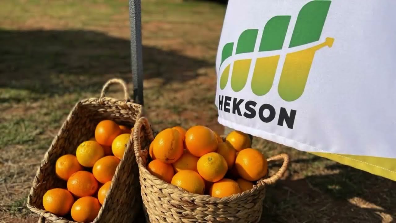 Hekson Marketing Video