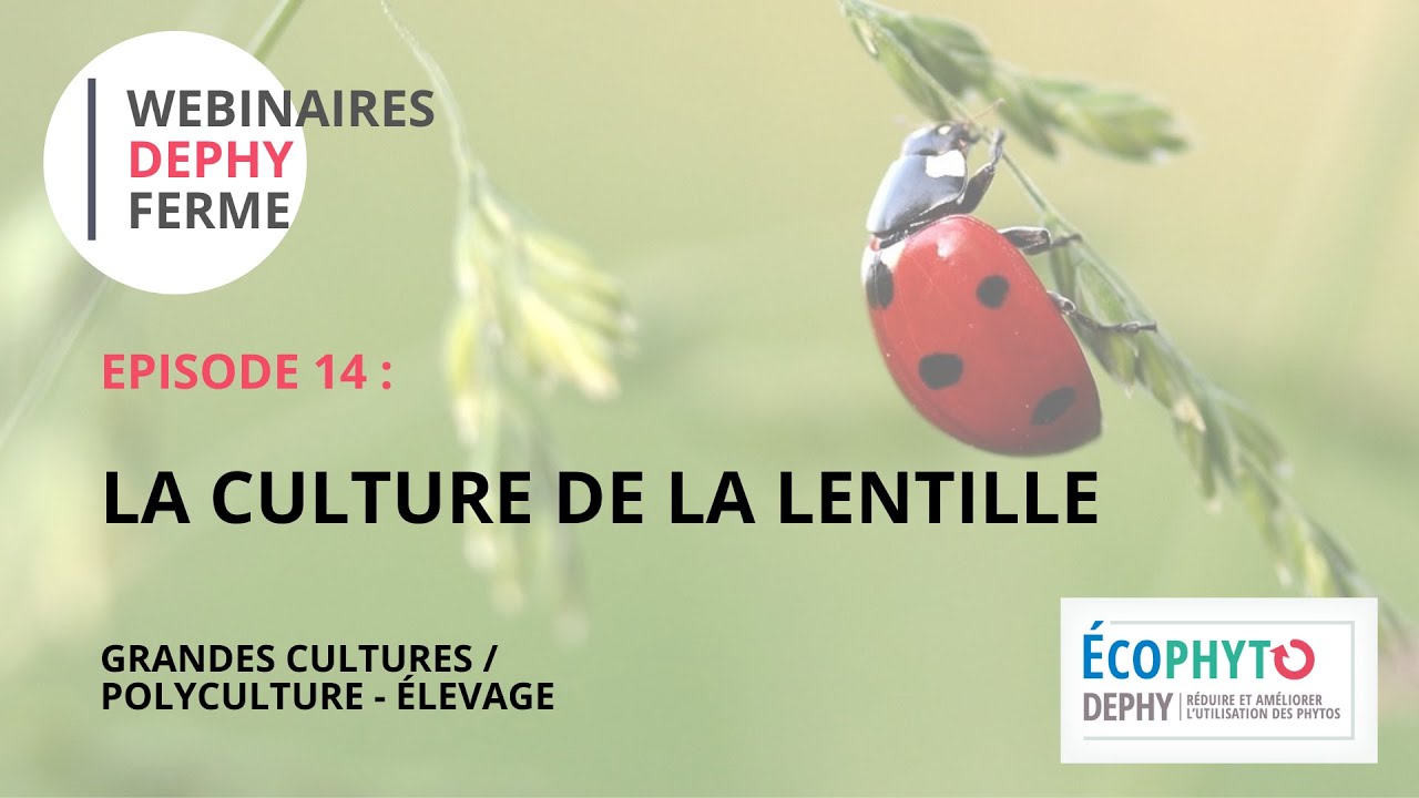 EP14 : La culture de la lentille | GCPE