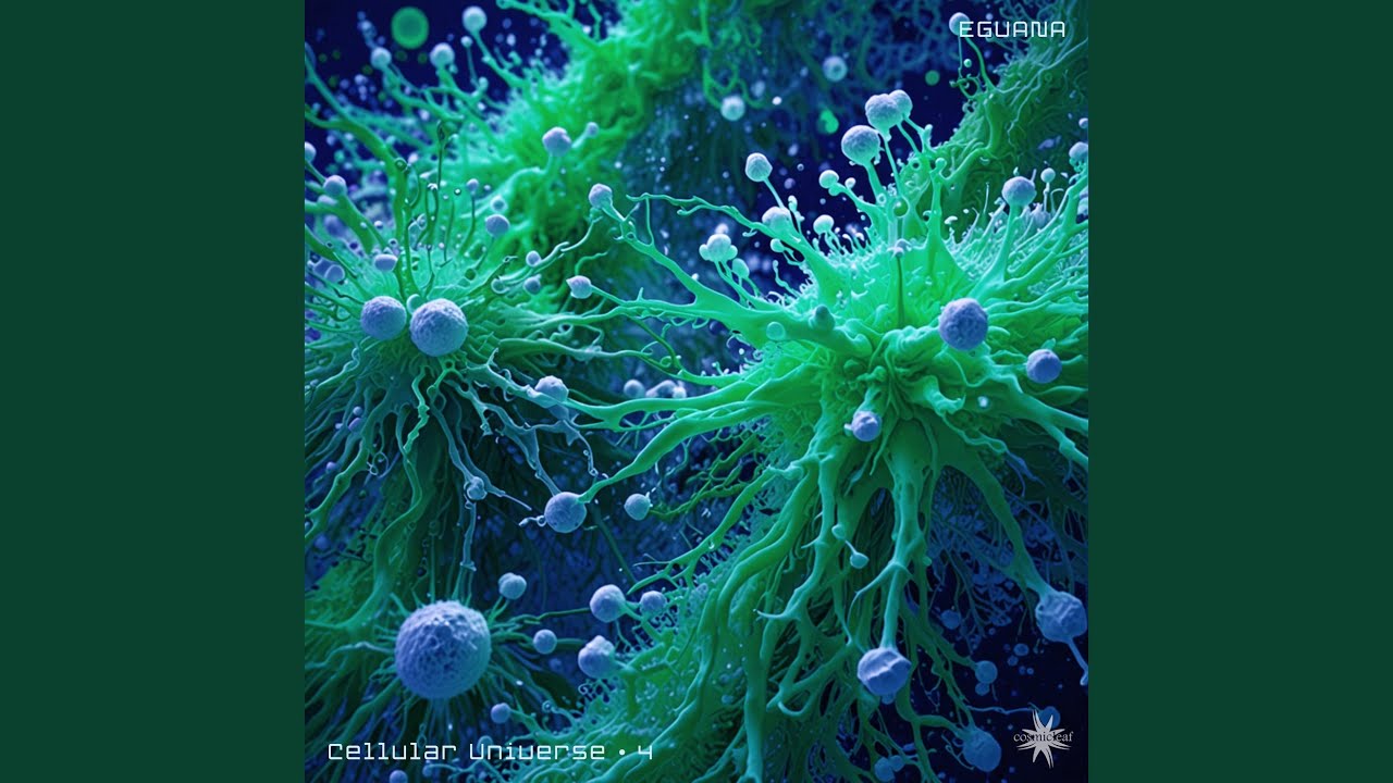 Cellular Universe 4
