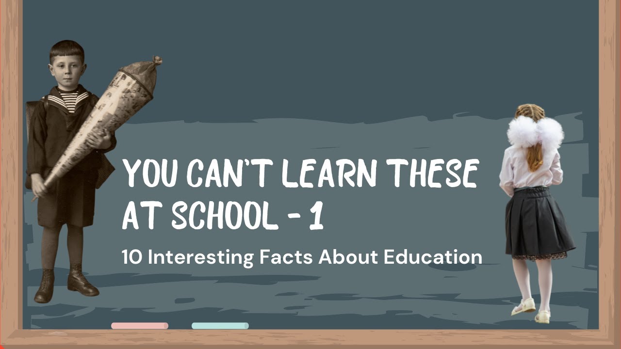 10 Interesting Facts About Education | You Can't Learn This At School - 1