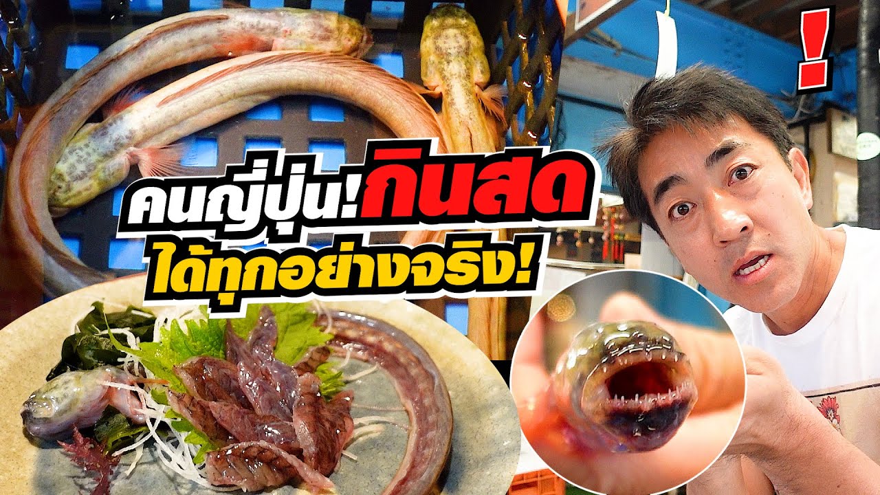 ปลาเอเลี่ยนซาชิมิ! ญี่ปุ่นประเทศเแห่งการกินสด อร่อยไหม ฮิโระซังจะลองให้ดู!!