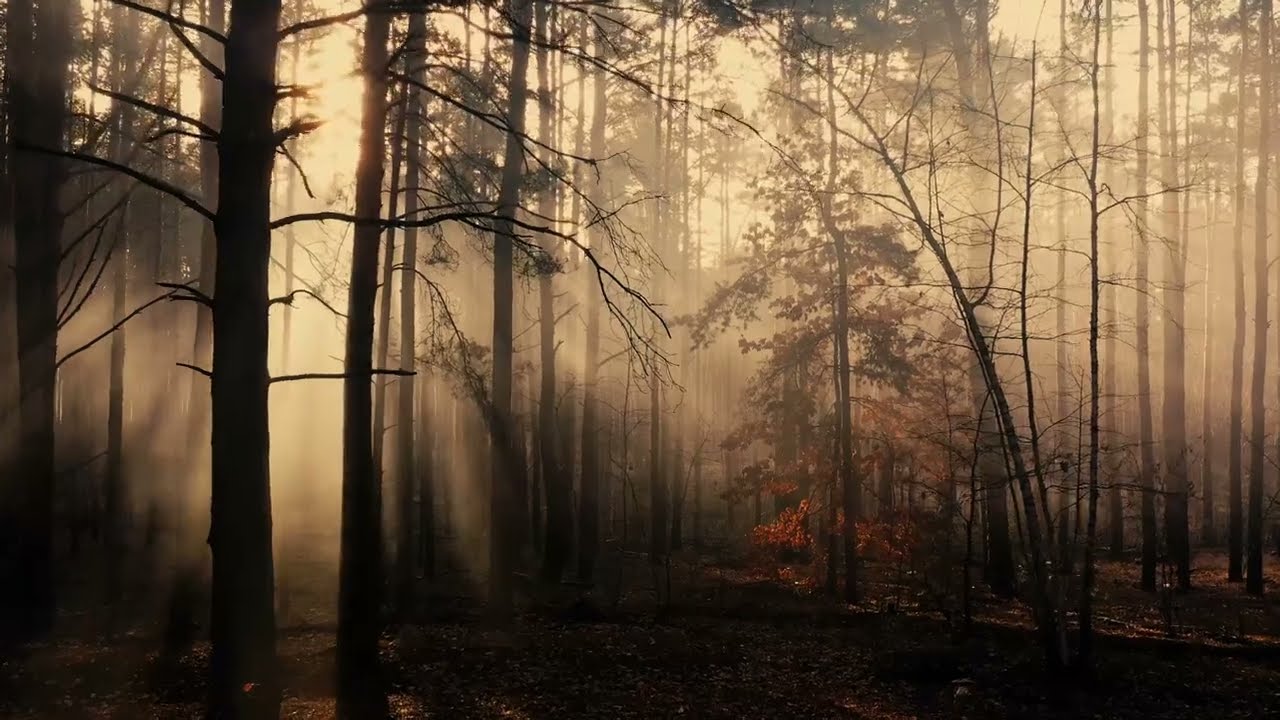Her Ghost In The Fog - Dark Ambient Music - Nightmare Fuel